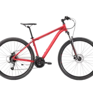 Pedal Phoenix Mountain Bike