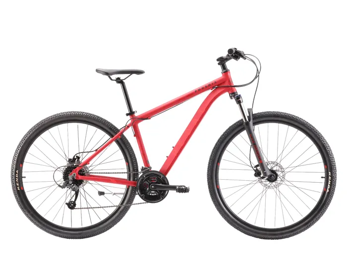Pedal Phoenix Mountain Bike